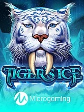 tigers-ice