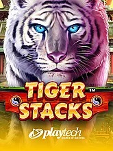 tiger-stacks