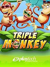 Triple Monkey